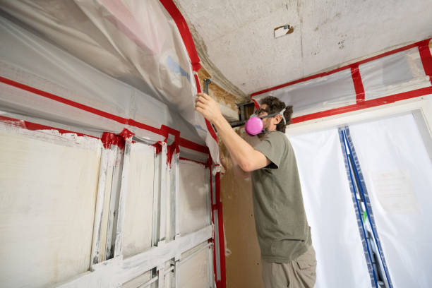 Environmental Consulting for Mold Prevention in Celina, TX